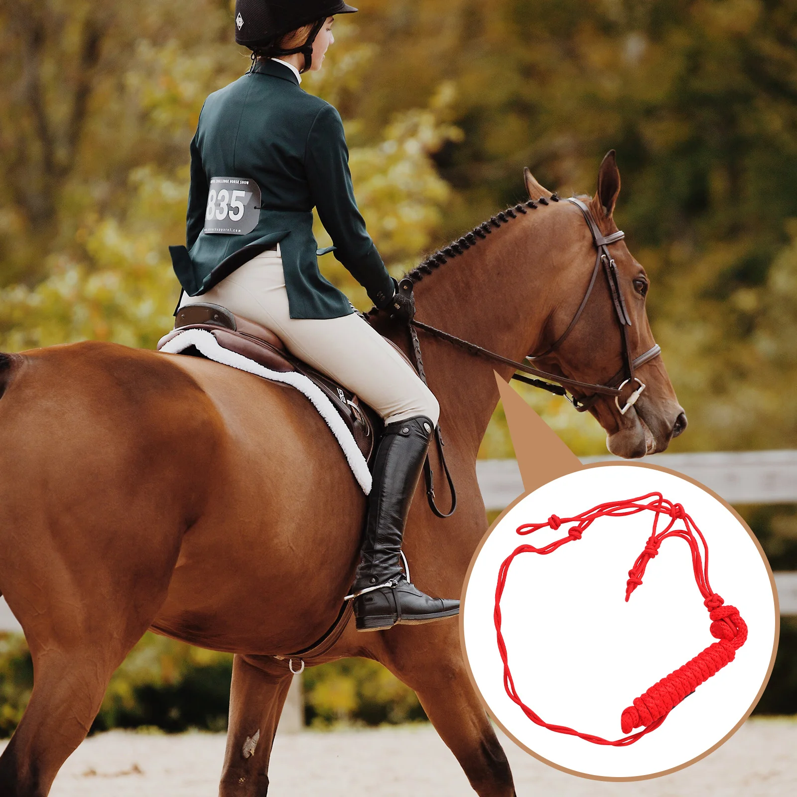 رسن الحصان مقاوم للاهتراء، بوليستر عالي الجودة، معدات تدريب مريحة مناسبة، جثور إمداد الحصان المحمول