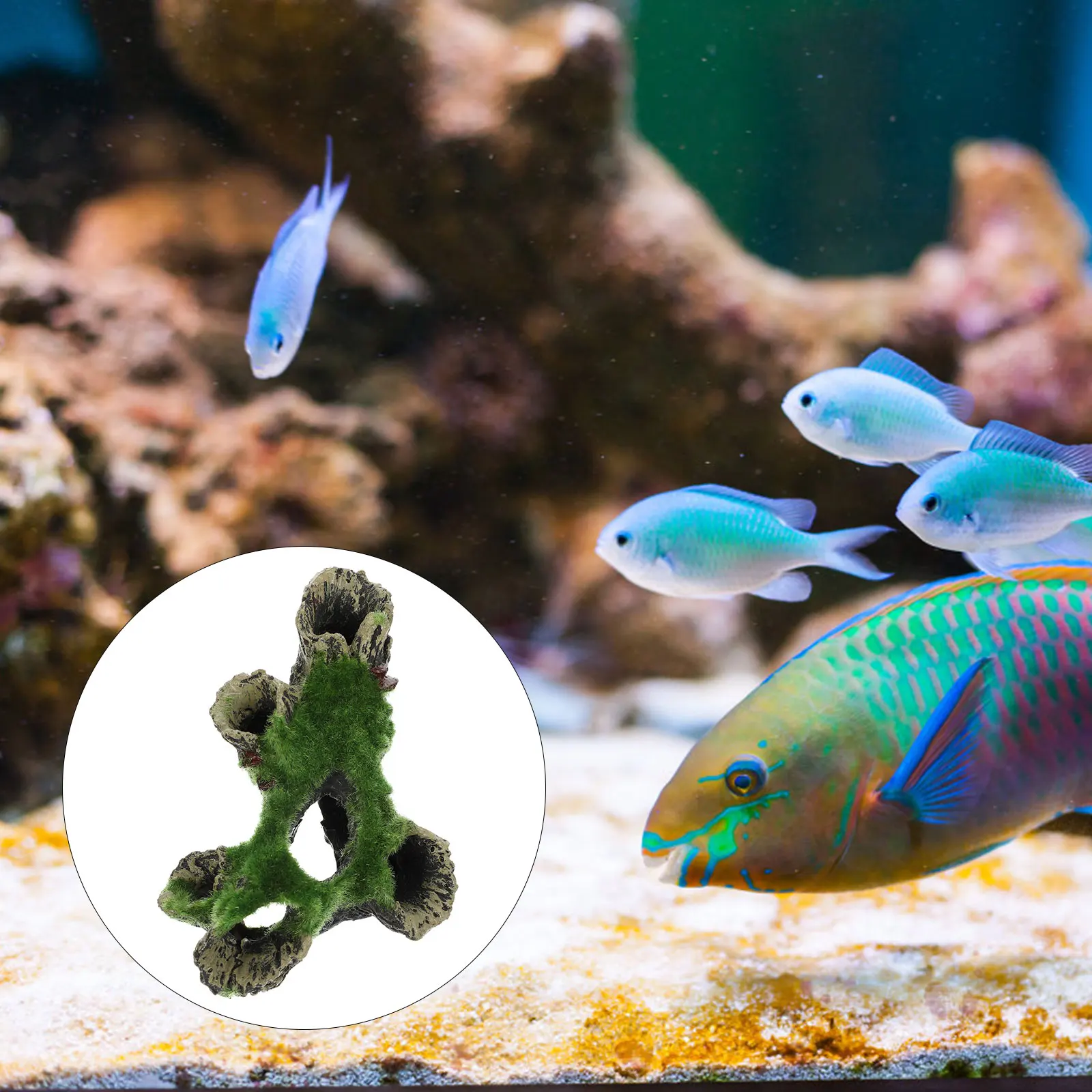 

Fish Tank Decoration Aquarium Ornament Tree Cave Resin Hide Hideaway Landscaping