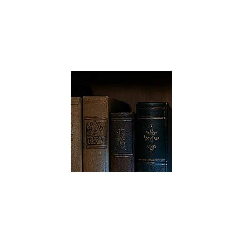Bookend Lamp Glowing Owl Iron Metal Shelf Light Book Organizer Vintage Antique Decor for Home Library Reading Room Office Study