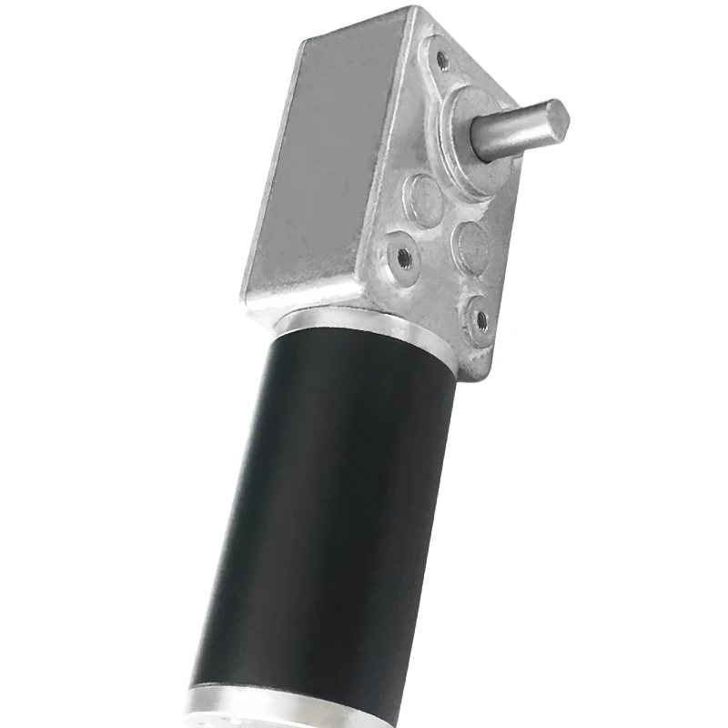 

Червячный редукторный двигатель, двигатель 5 об/мин, самоблокирующийся двигатель с высоким крутящим моментом WS-5073GW-42XY-DC-24V-5rmp