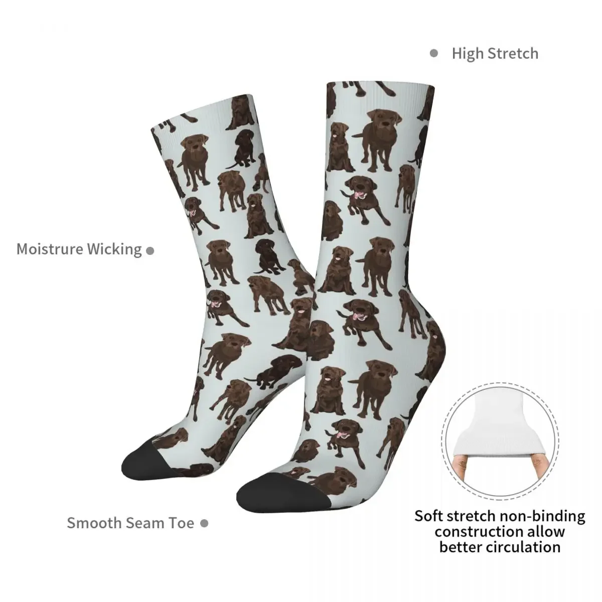 Chocolate Labrador Socks Harajuku Sweat Absorbing Stockings All Season Long Socks Accessories for Unisex Gifts