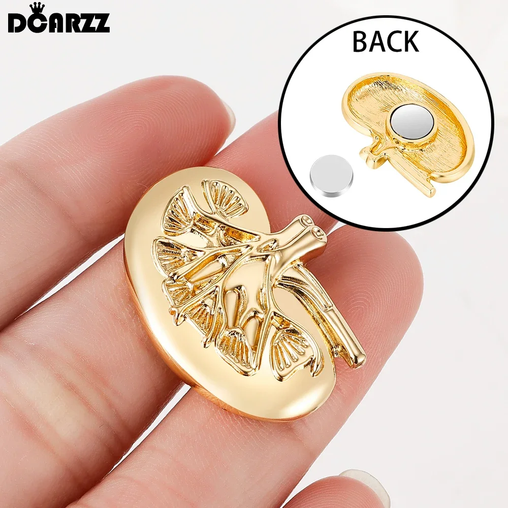 DCARZZ New Magnetic Kidney Brooch Medical Anatomy Creative Magnet Pin Badge Jewelry for Doctor Nurse Gifts