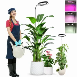 Full Spectrum LED Grow Light para Planta Interior Crescendo, Lâmpada de crescimento com temporizador automático, Altura ajustável, 3 modos de luz, 5V