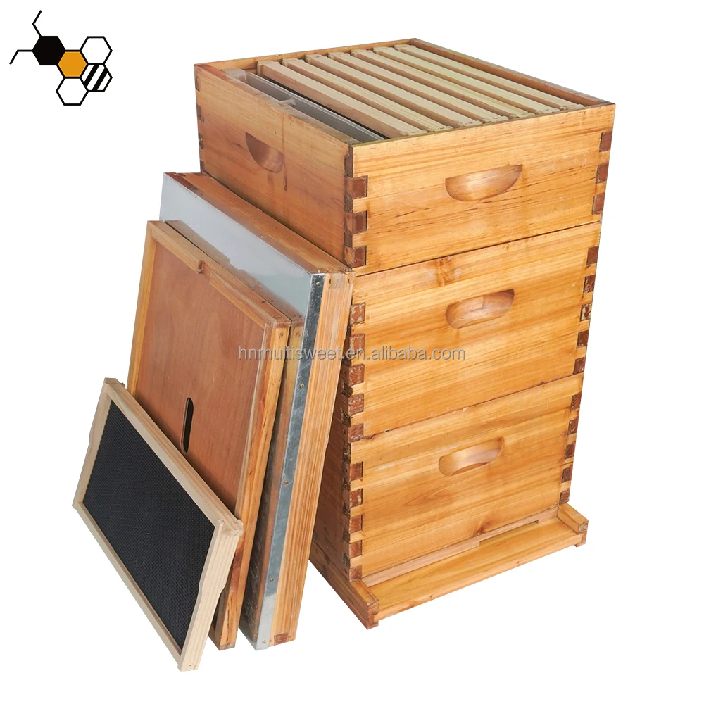 Three Tier 30 Frames Bee Hives Boxes 10 Frame Waxed Wooden Langstroth Beehive