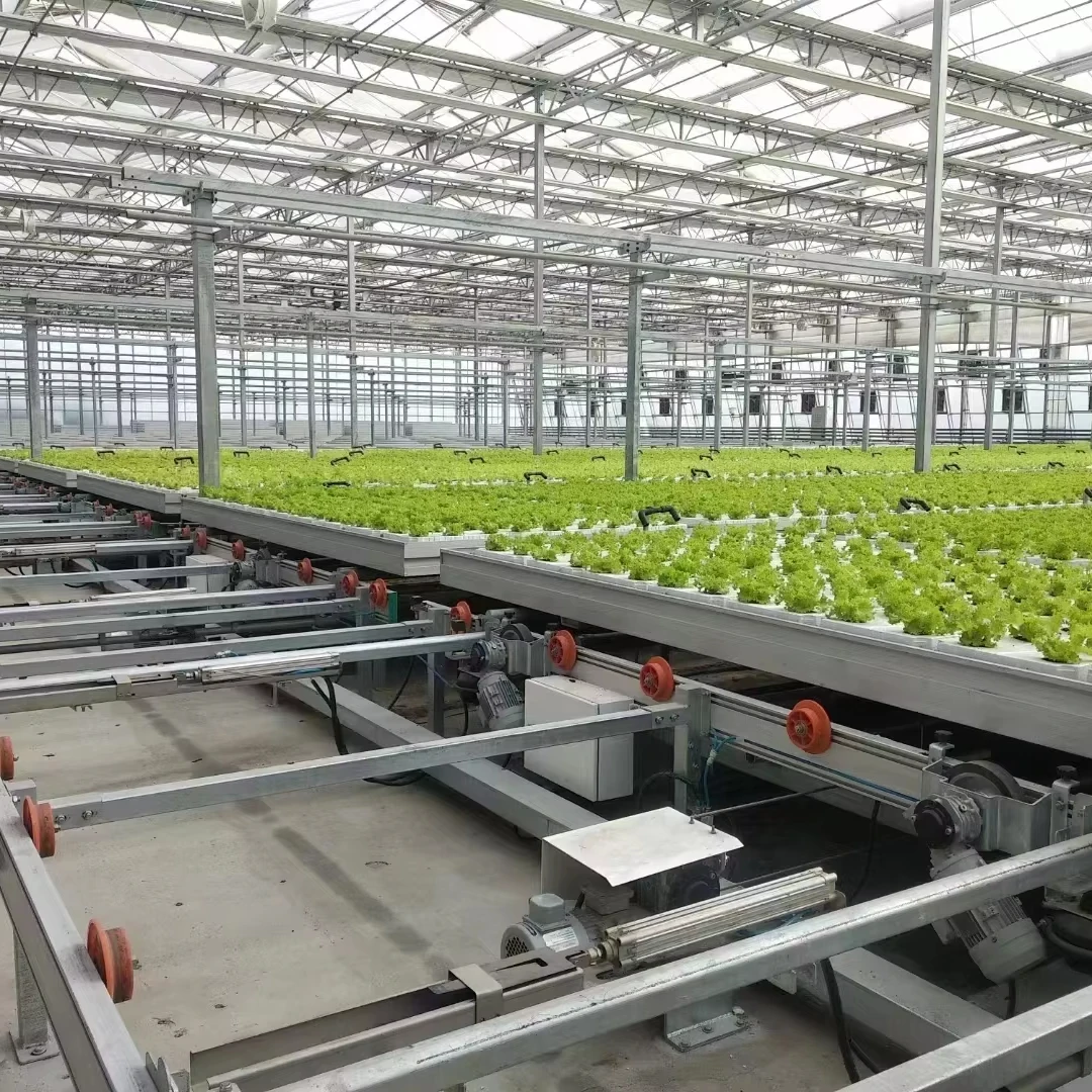 

Customized greenhouseHot Galvanized Steel Greenhouse Hydroponic Economical Agricultural Greenhouse for Strawberry/Tomato Farmin