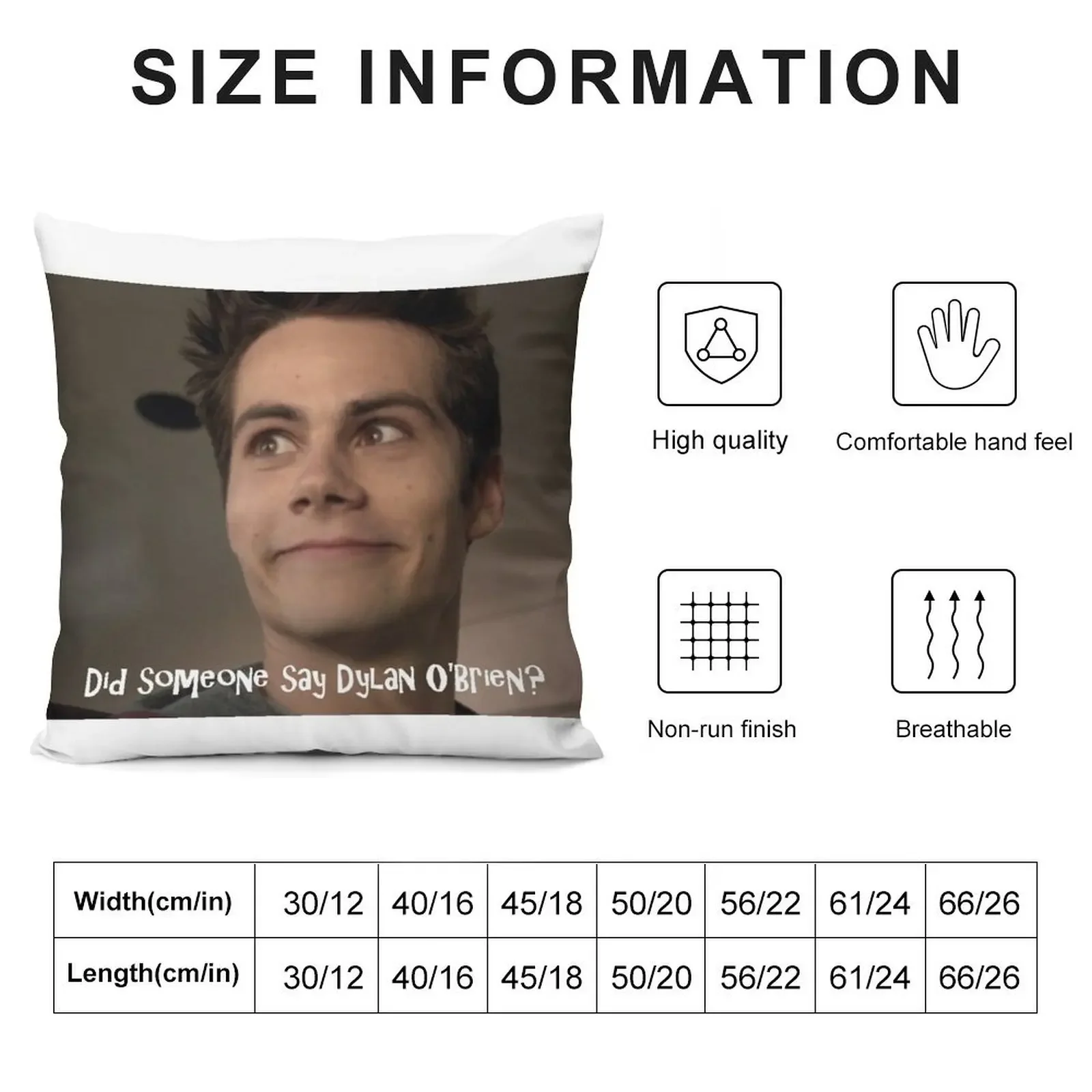 Did Someone say Dylan O'Brien? Throw Pillow Cushions For Sofa Cushions Home Decor pillow