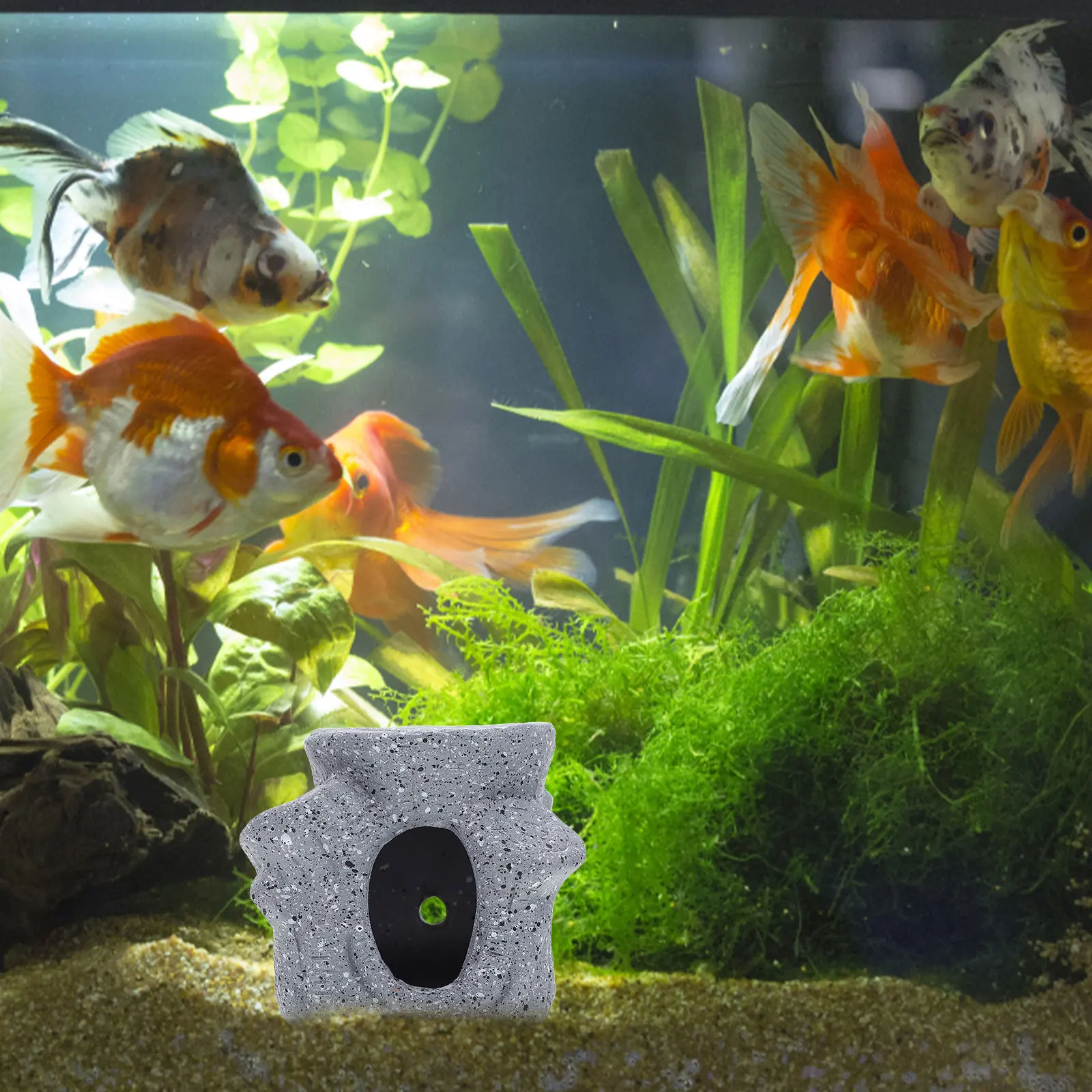 

Aquarium Cave Decorative Fish Shelter Premium Clay Material Small Lightweight for Terrariums and Household Aquariums Tabletop