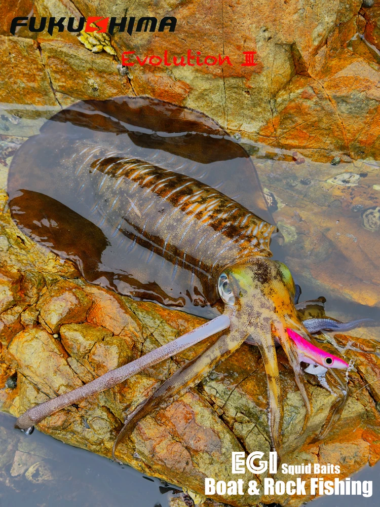 FUKUSHIMAZEECK3.5 SQUID JIG EVOLUTION EGI LURE FISHING WOOD SHRIMP BAIT FLASH BODY EYES & TAIL GLOW SHARP HOOKS 21GRAM EBI-SOUND – Detail 12