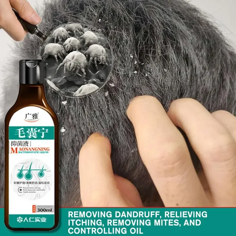 샴푸 Anti-dandruff Shampoo Chinese Herbal Hair Care Scalp Mite Seborrheic Hair Repair Damage Products Shampoo Folliculitis