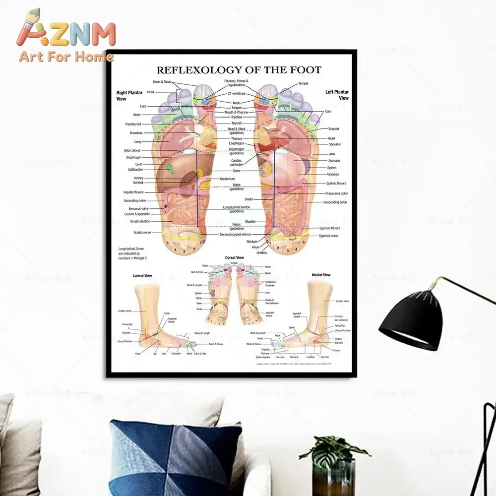 AZNM Foot Reflexology Chart Canvas Print, Frameless Human Foot Reflex Zones Educational Wall Poster, Acupressure Massage Anatomy