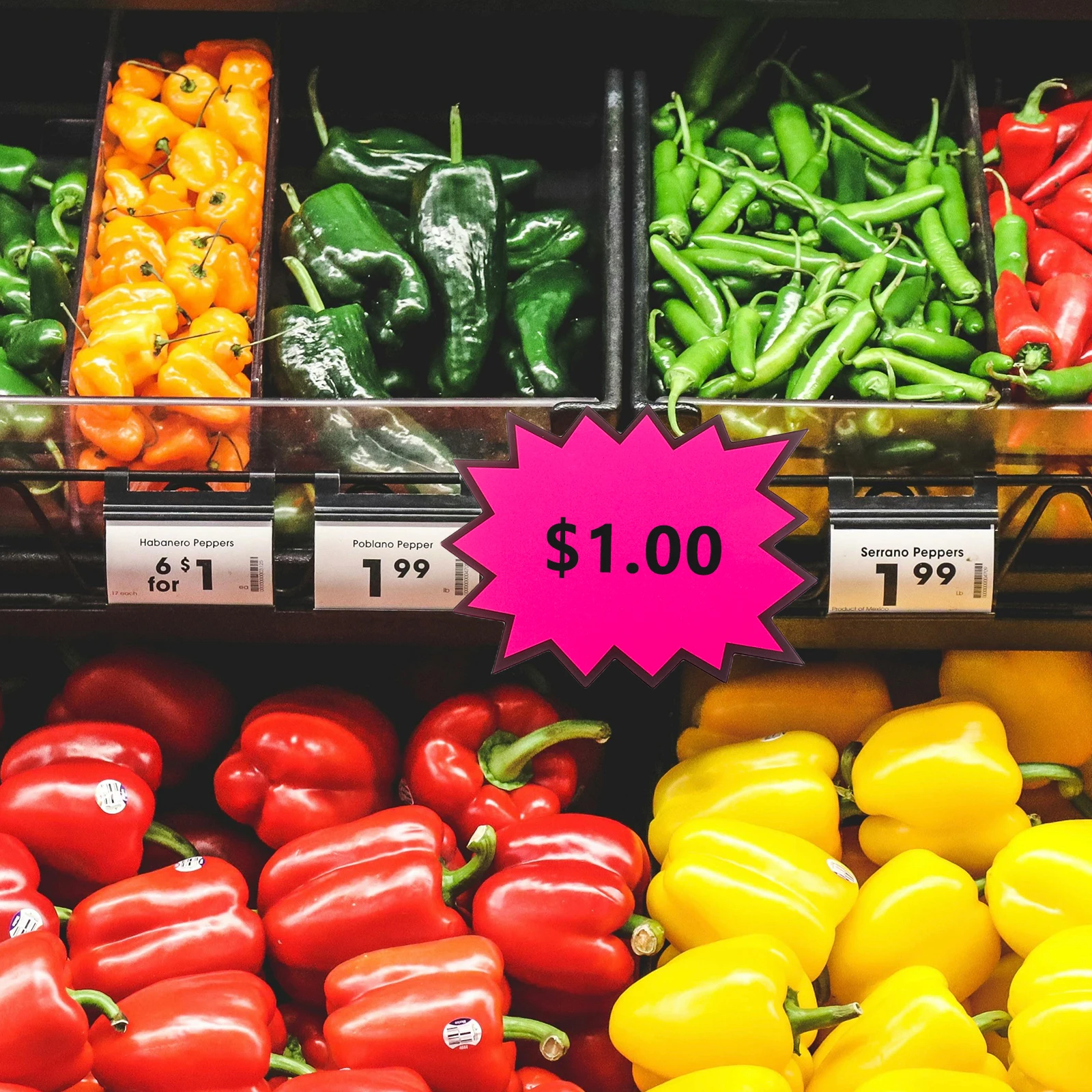 

80Pcs Price Tags Eye Catching Fluorescent Burst Design Blank Cards for Retail Mall Exhibition Sale Sign Label Blank Retail Tags