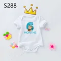 S288-SRPWH-
