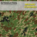 Type 2 Camo