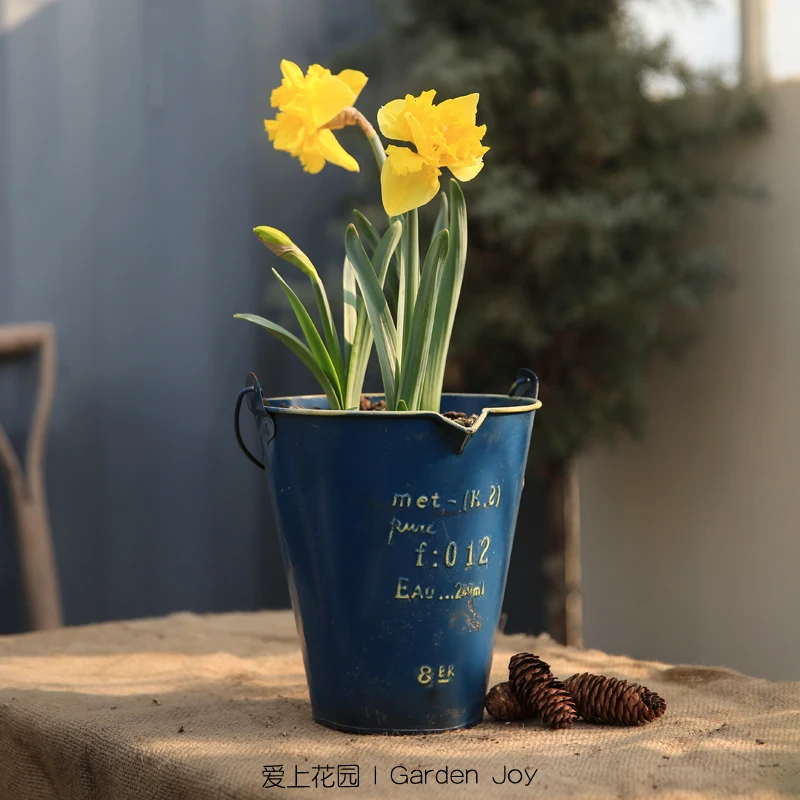 French Cottage Sky Blue Flower Planter Pot Vintage Chic Shabby Buckets Indoor Decorative Farmhouse Watering Can Metal