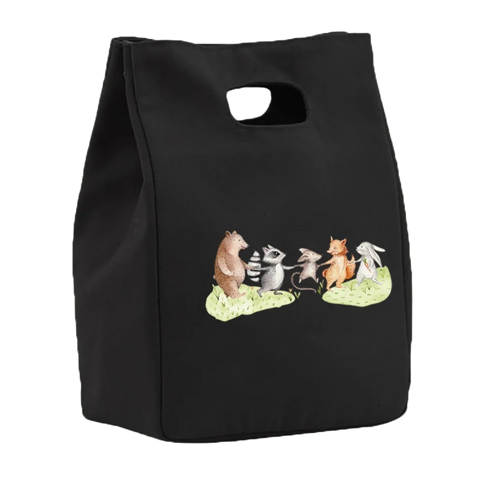 Bolsa de almuerzo aislada para niños y mujeres, bolsa térmica de lona portátil, para almacenamiento de Picnic, escuela, con patrón de dibujos animados