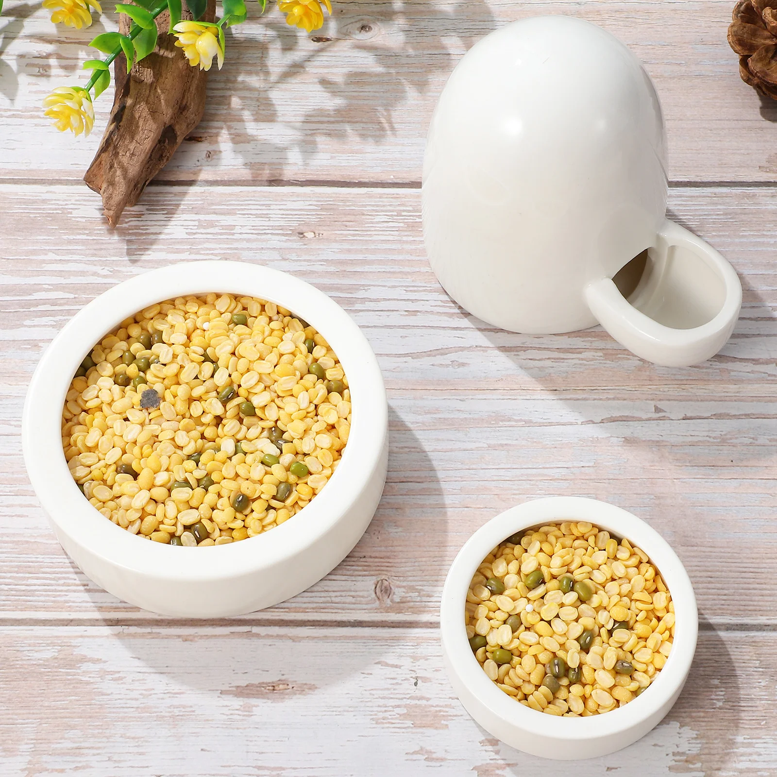 

3 Pcs Small Animal Foods Dish Kit Hamster Water Dispenser Feeder Feeders for Bowl