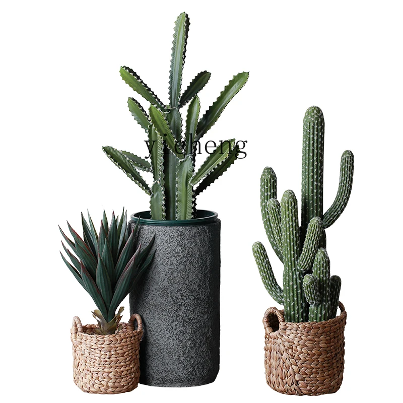 Xl Simulation on-the-Ground Green Plant Cactus Desert Succulent Plant Creative Table Decorative Ornaments