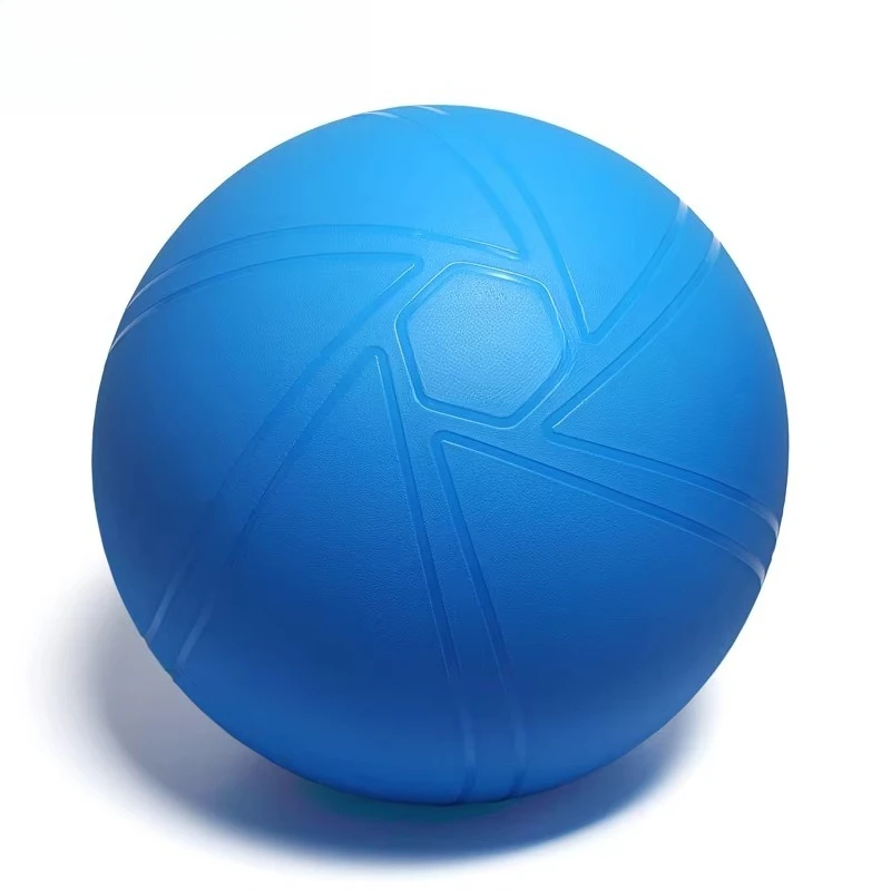 

65Cm PVC Yoga Ball with Foot Pump Exercise Ball Yoga Practice