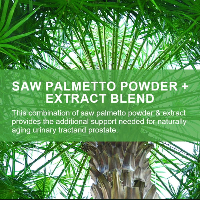 Saw Palmetto Capsules - Natural Prostate Supplement - Helps Block DHT to Prevent Hair Loss and Helps Reduce Frequent Urination