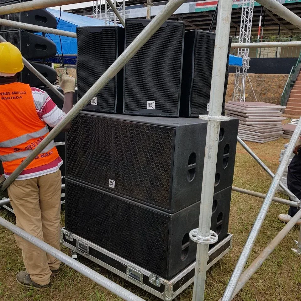 

New Design High Quality Big Powered Subwoofer Speaker