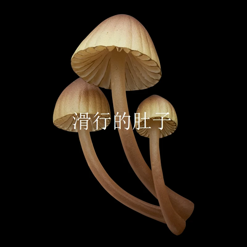Authentic Japanese Ikimon 'Glow Mushrooms' Series Gachapon - Magnetic Bioluminescent Fungi Decor Re-Release