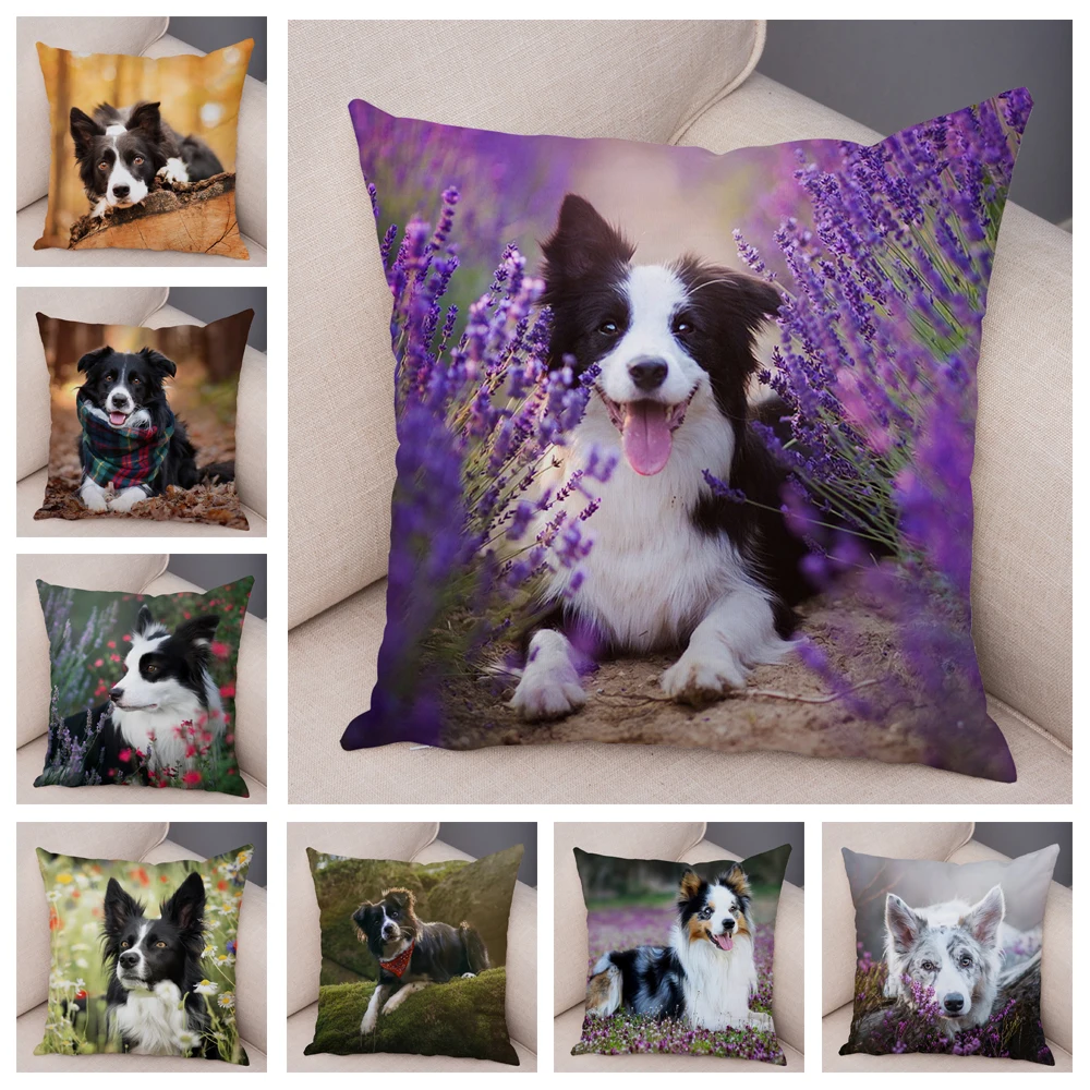 Cute Scottish Border Collie Pillowcase Dog Print  Decor Pet Animal Cushion Cover Sofa