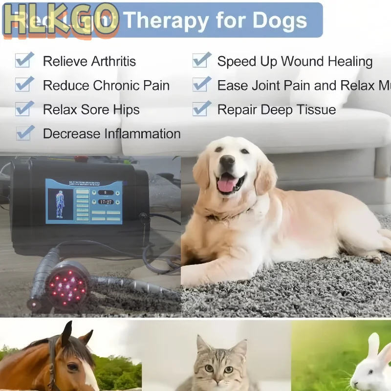 

Medical Grade 1055mW Class 4 LLLT Therapy Machine Dual Probe Cold Laser for Degenerative Disc & Neck Pain