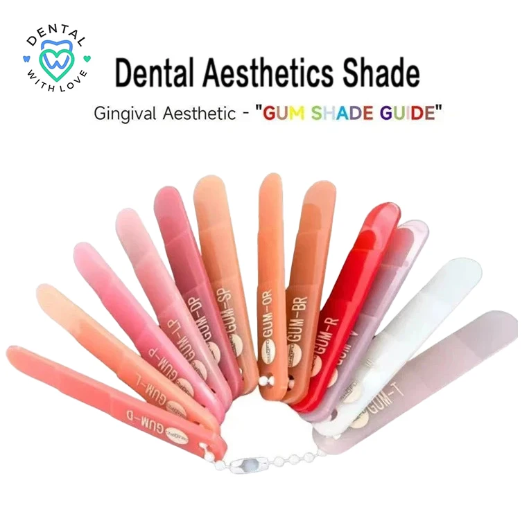Dental Material SHOFU Polymer Porcelain Gum Aesthetics Shade Guide Classical Bleach Colorimetric Plate Model Oral Cavity Nursing