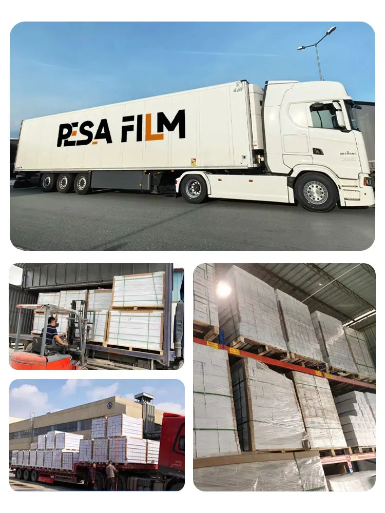 PESAFILM High Quality TPU Violet Color Color Wrap Vinyl Film TPU PPF Sticker Car Film Chameleon Car Paint Protection Film