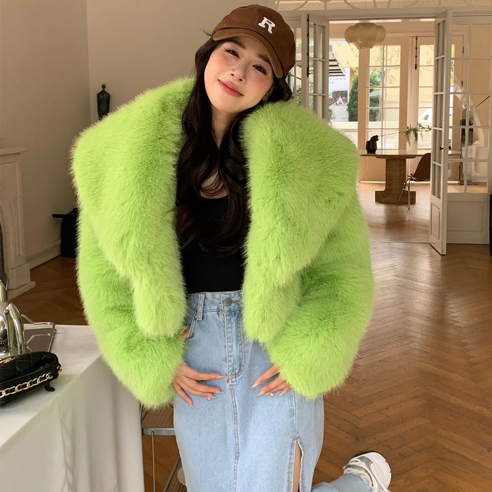 Short Winter Fur Jackets Turn-down Collar Plush Coats Women Fashion 2024 Thick Faux Fur Coats Furry Outerwear Streetwear