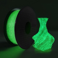 3D PLA Filament Glow In The Dark 1.75mm 250g 1kg Rainbow Filament PLA Glowing 3D Printing Material Clear Filament Blue Green