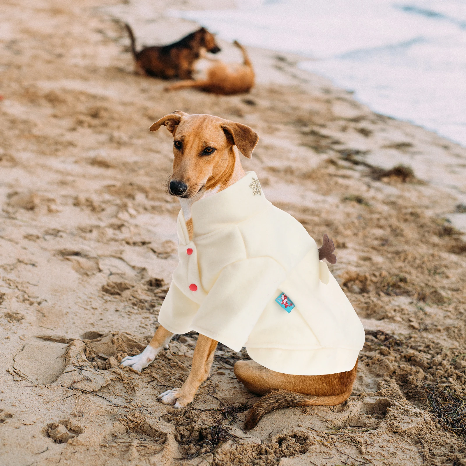 

Christmas Clothing Pet Costume Dog Apparel Sweatshirt Pattern Ivory Father