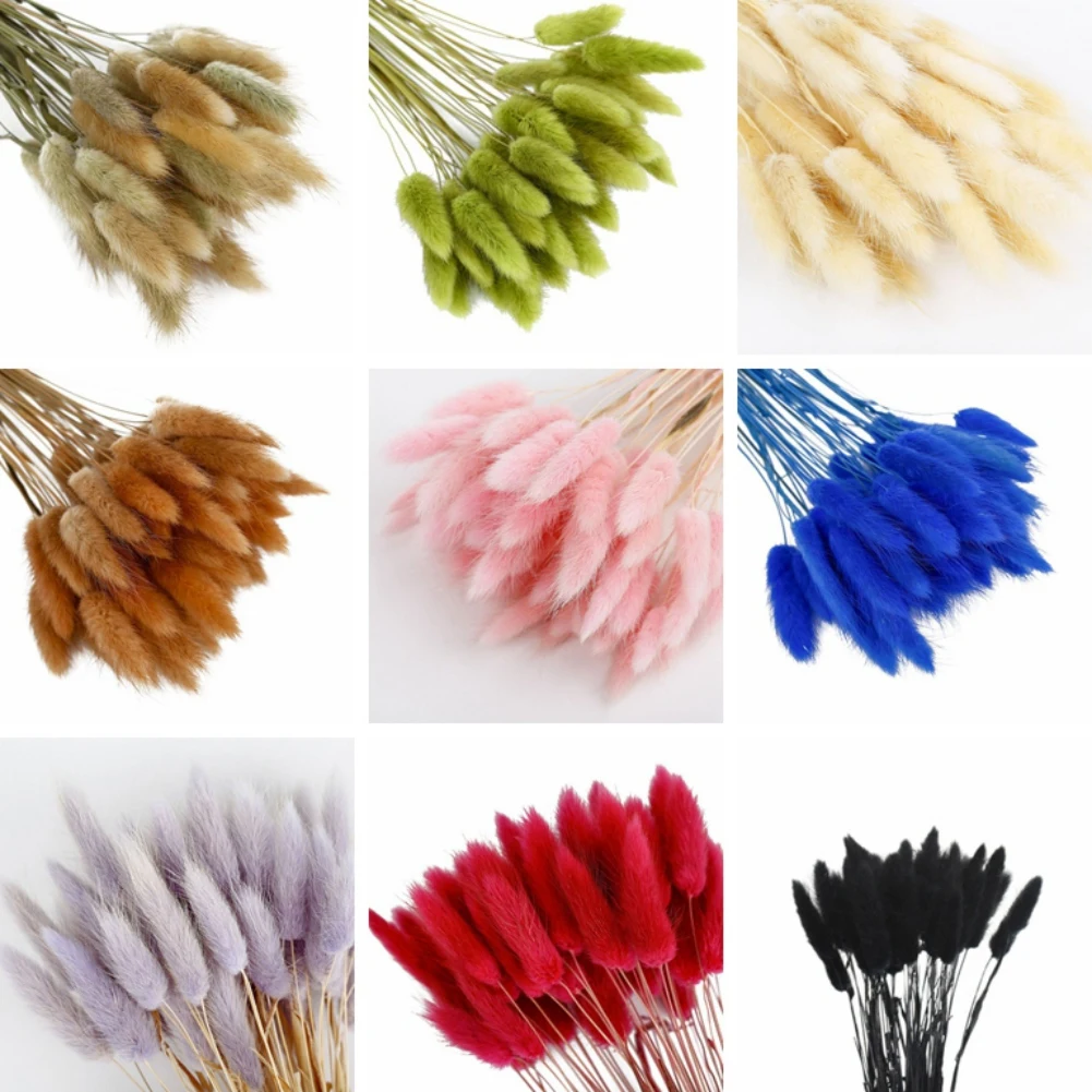 50pcs Pastoral Rabbit Tail Grass Bunny Tails Dried Flowers Artificial Plant Bouquet Plant For Home Decortaion