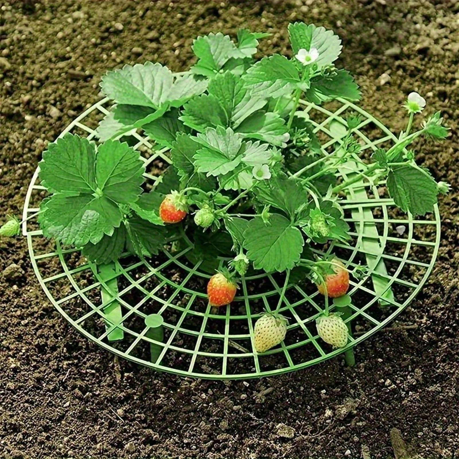 5pcs Strawberry Plant Supports Stand Anti Rot Strawberry Cages Heavy Duty Plant Support Frames For Garden Balcony Potting 2026