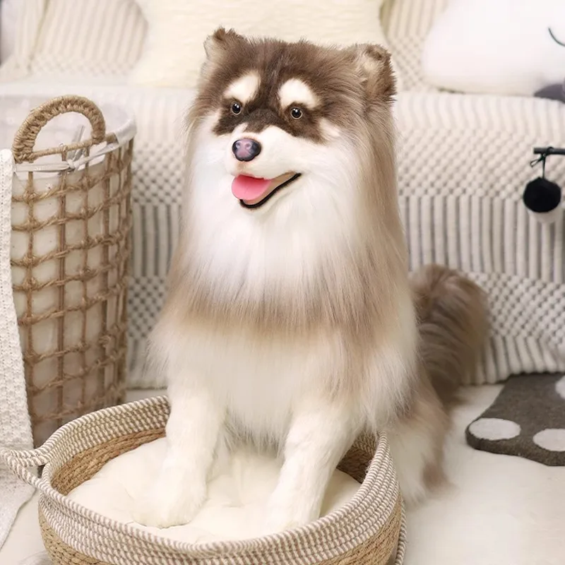 Simulational Animal Alaskan Dog Plush Doll Pet Dog Plush Toy Companion Premium Gift 50x38cm DY10406