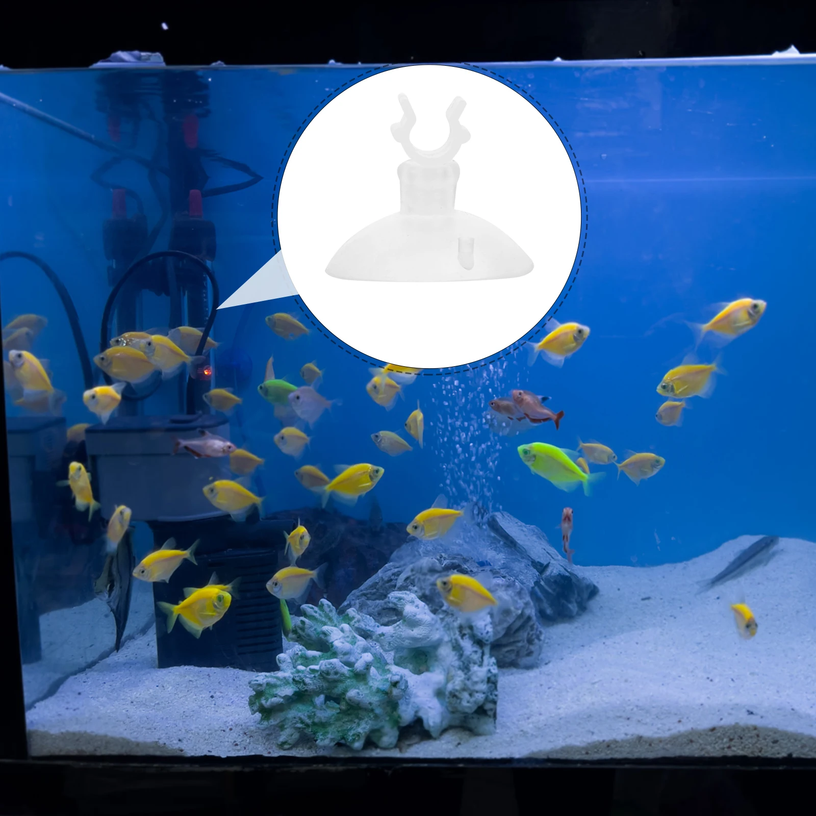 

20pcs Aquarium Suction Cups Tube Holder Clips for Fish Tank 16mm Diameter Material Glass Compatibility