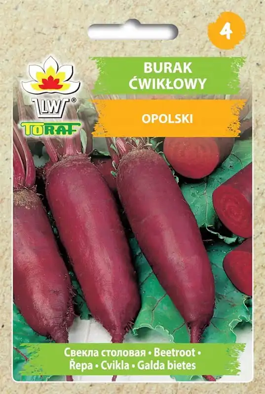 Opolska beet 10g TORAF vegetable beet seeds