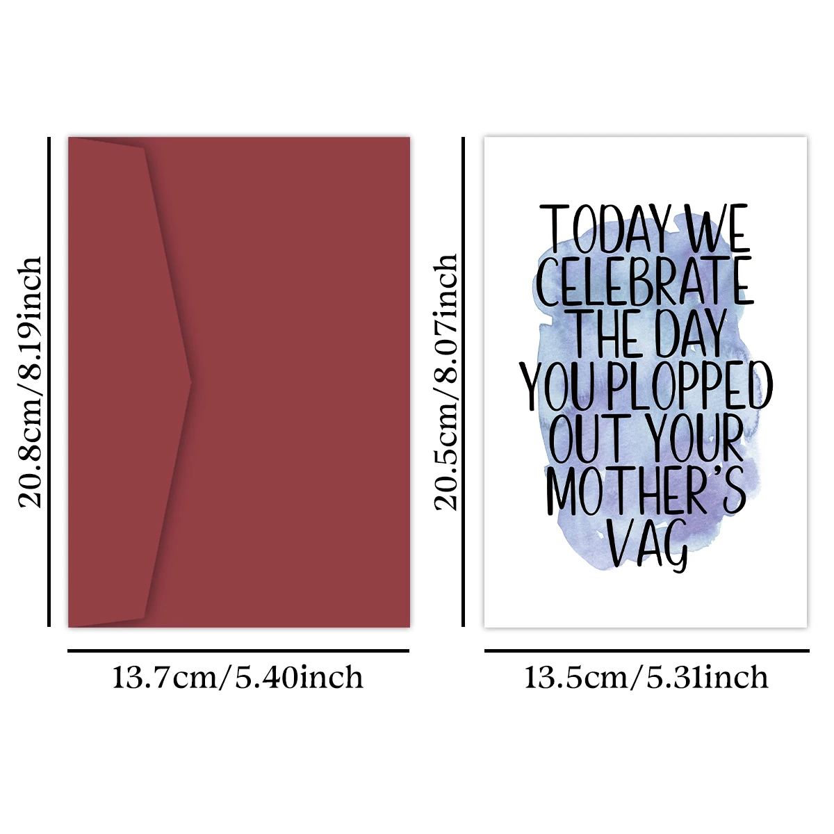 1PC Humorous Birthday Card,Funny Rude Birthday Card For Him or Her,Today We Celebrate The Day You Plopped Out Your Mothers Vag