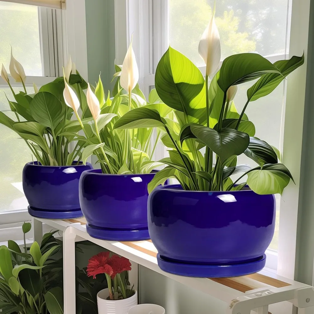 وعاء نبات سيراميك مقاس 8 بوصة مع فتحة تصريف وصحون، زارع دائري حديث للنباتات الداخلية والخارجية، هدية ديكور أزرق