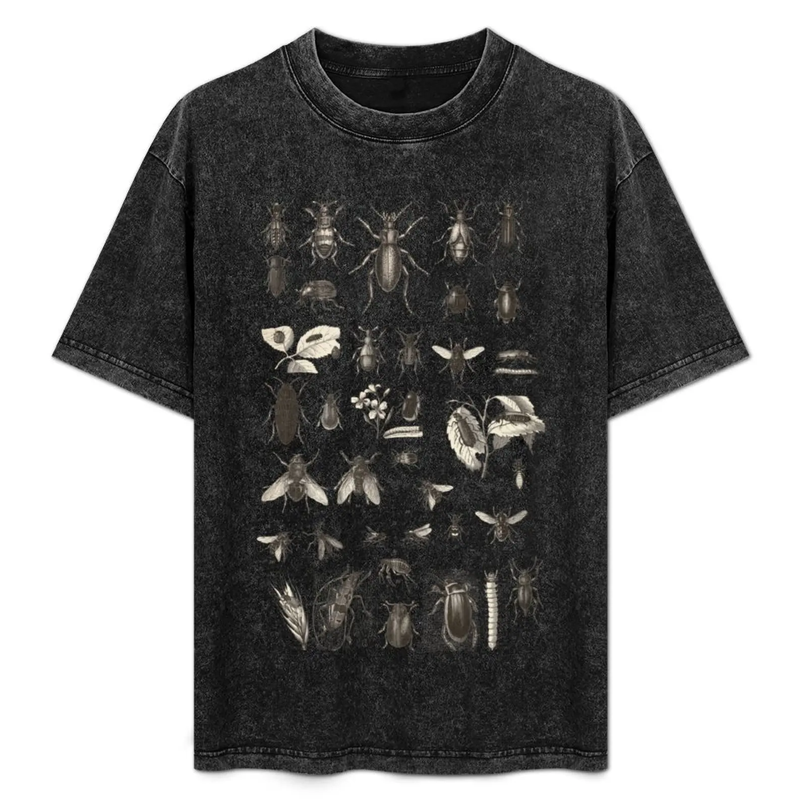 

Many Different Bugs Vintage Entomology T-Shirt Basic Simple Design Short Sleeve Shirt