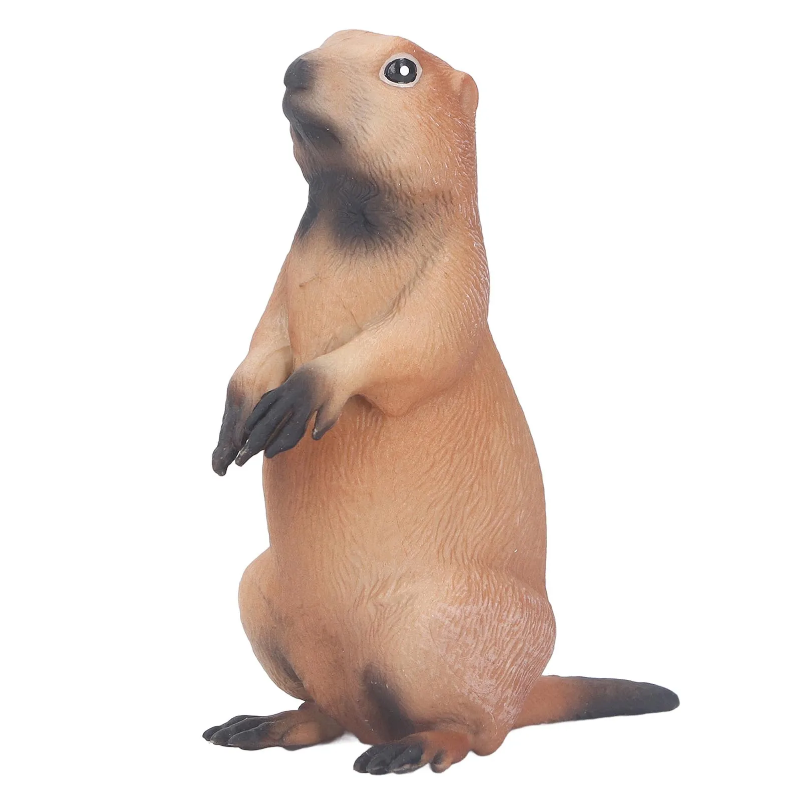 ZK40 Groundhog Statue Toy Wild Animal Figurine Model Simulation Animal Plastic Sculpture for Home Decoration Kids Education