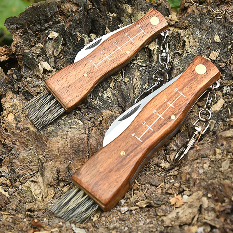 Mushroom Knife Fungus Knife Folding Camping Hunting Truffle Harvest Sharp Knives Natural Wood Handle with Bristle Brush SS Blade