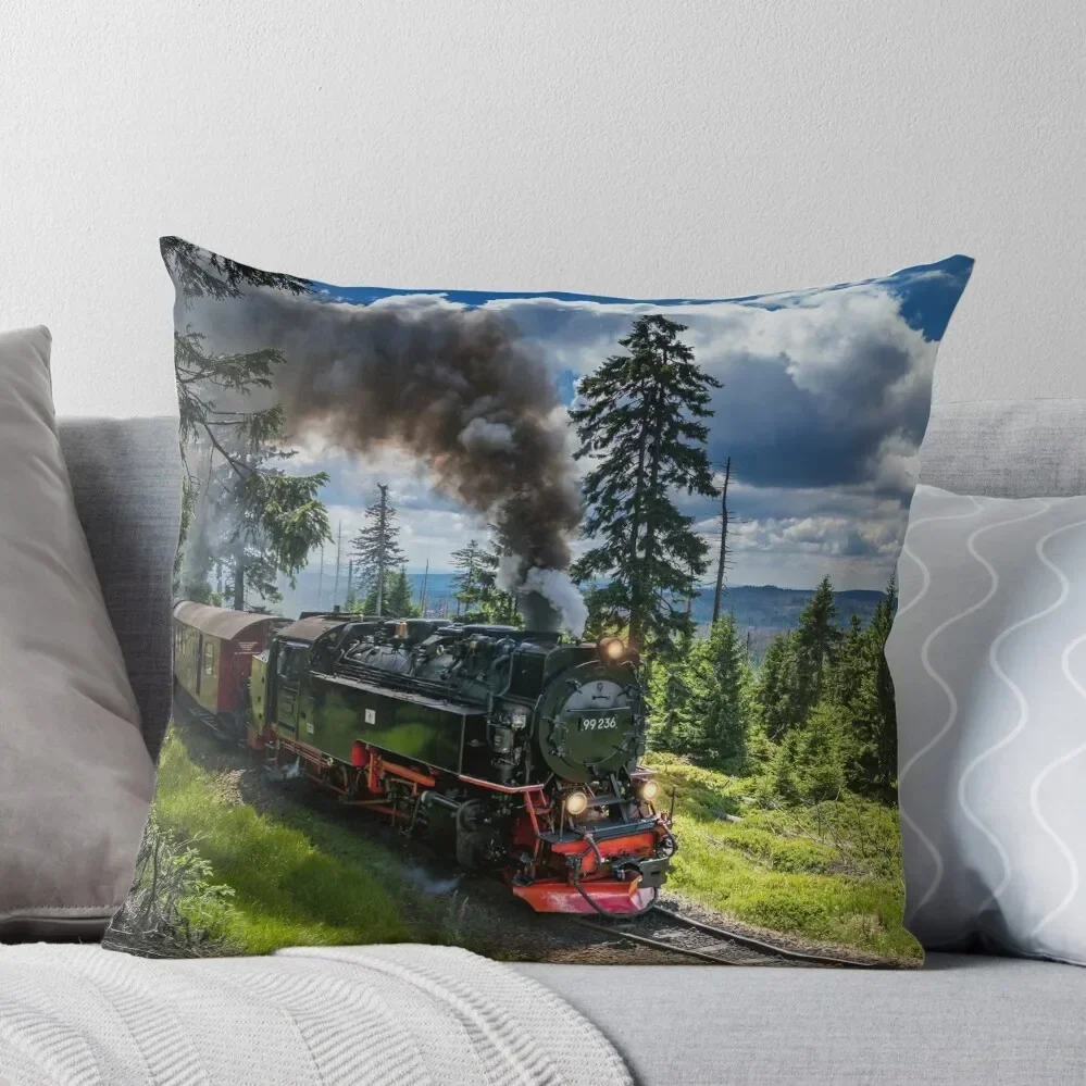 

Steam locomotive - Harz narrow gauge railways (Germany) Throw Pillow Sofa Cover Pillowcases pillow