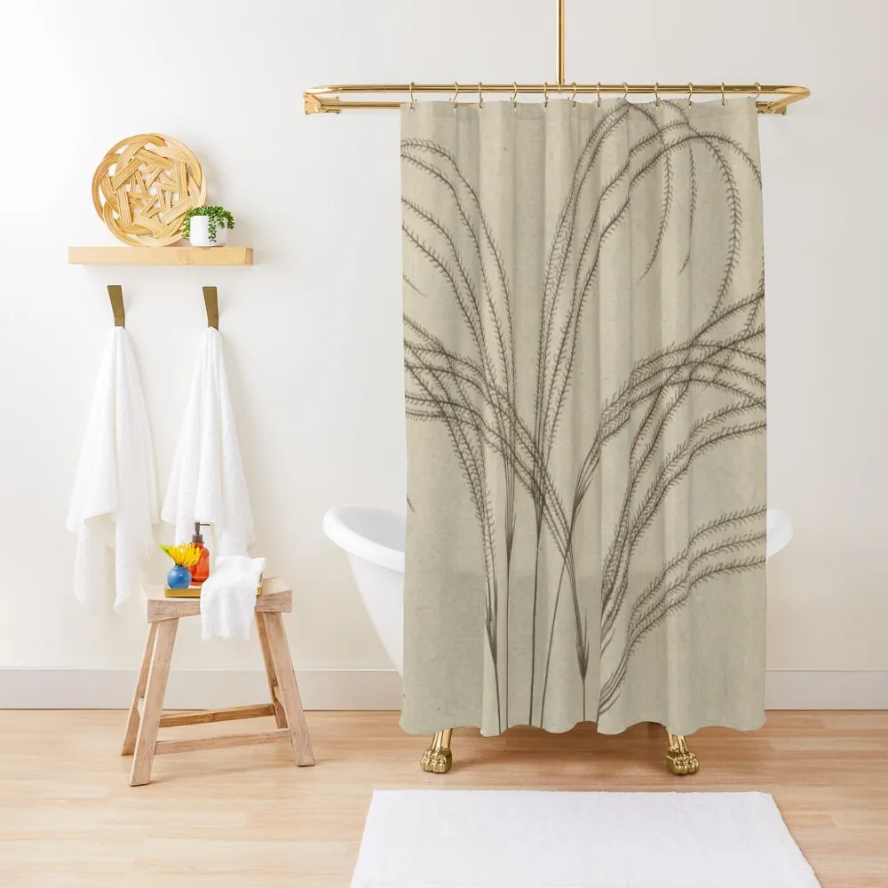 

Botanical Grass Shower Curtain Modern Accessory Bathrooms Set For Bathroom Window Curtain