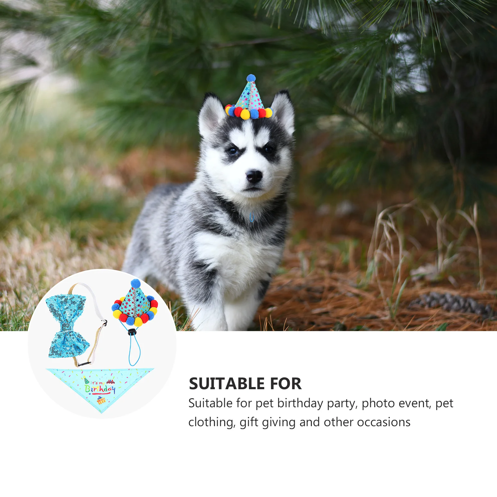 

1Set Pet Birthday Scarf Hat Creative Chic Design Bright Color Dog Party Decor Accessories Pet Supplies Home Dog Birthday Party
