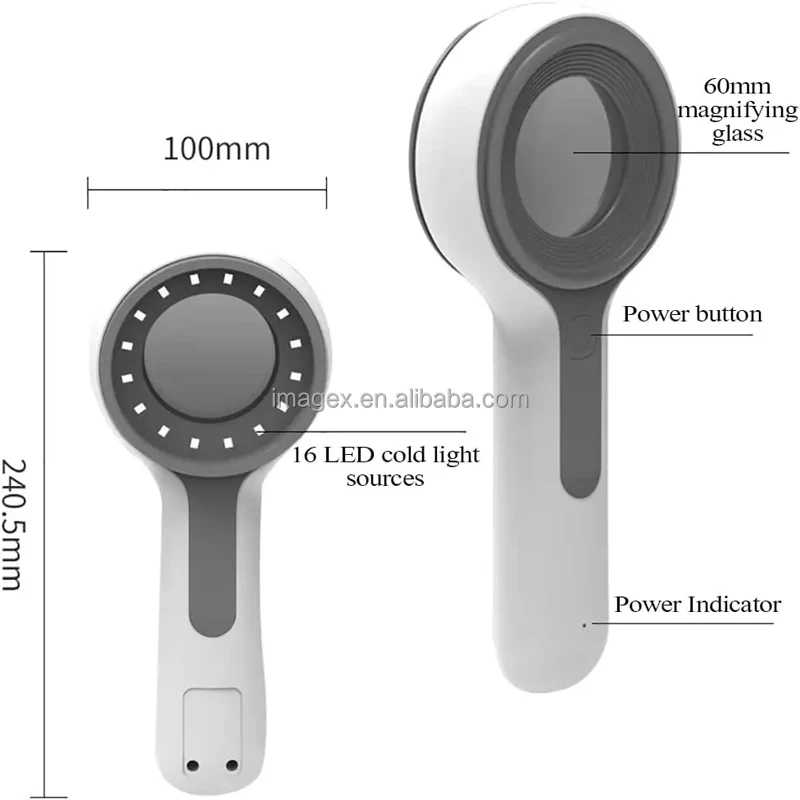 

Portable Wood's Lamp for Fluorescence Detection of Skin Hydration Pigmentation & Acne in Dogs