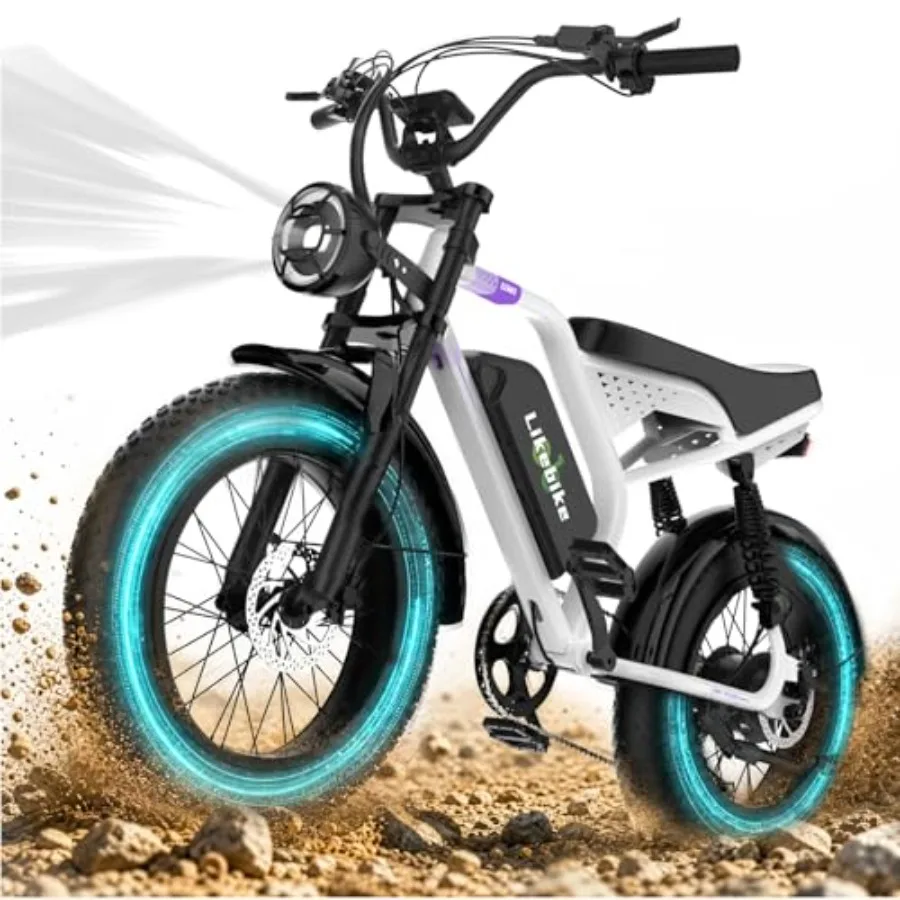 

Off-road mountain and snow cruiser e-bike for adults: 20 fat tire, full suspension, aluminum alloy frame, matte black finish, 1