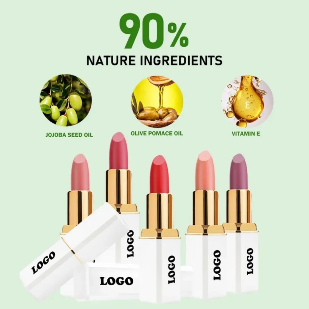 Custom Logo Vegan White Square Tube Matte Lipstick Moisturizer Lips Smooth LipStick Long Lasting Charming Lip Stick Makeup