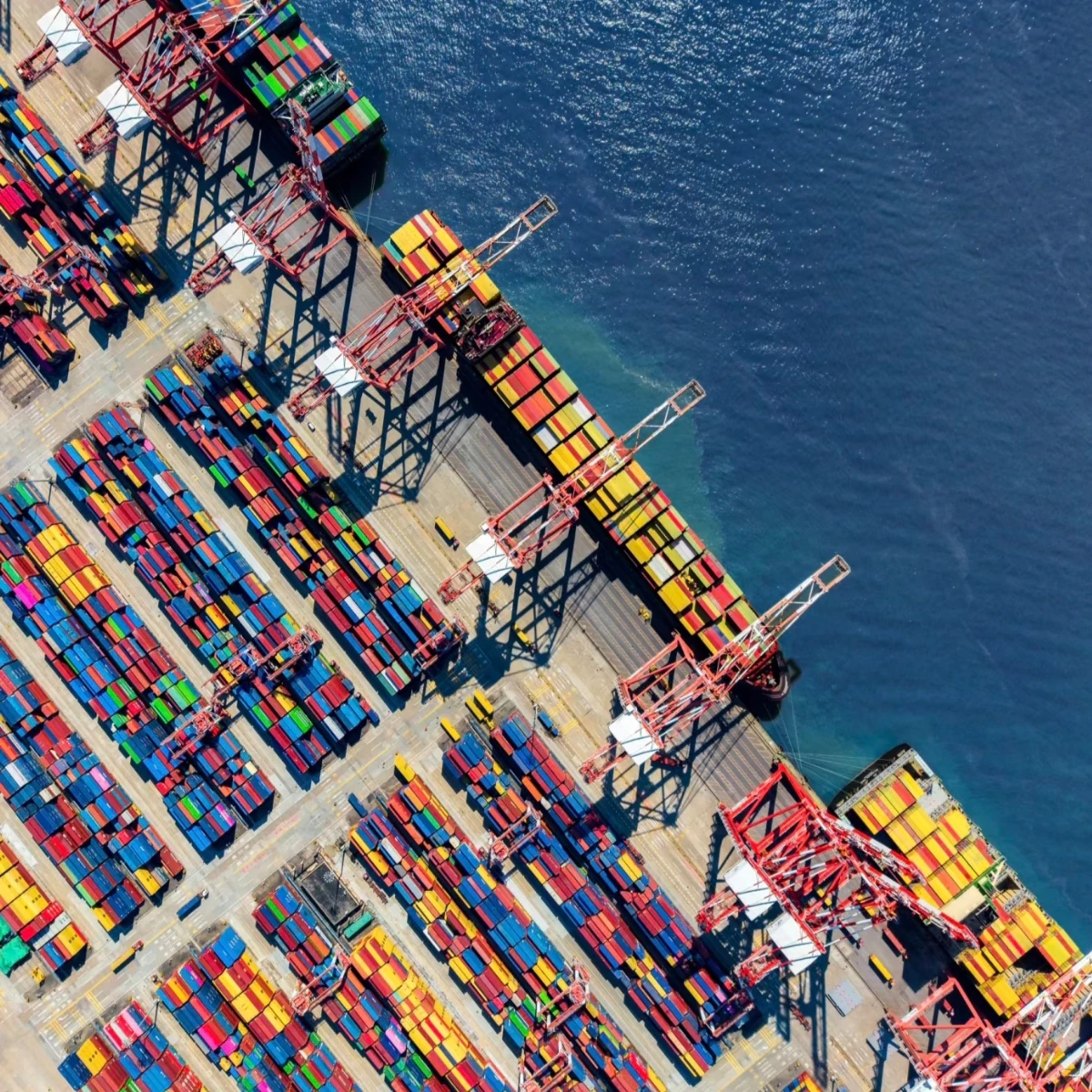 Link dedicado para pagar frete e taxas alfandegárias, transações protegidas na plataforma