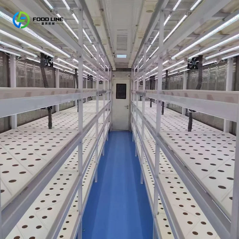 Hydroponics Growing System Container Farm Smart Fodder Cultivation Vertical Farming Container Wholesale Custom